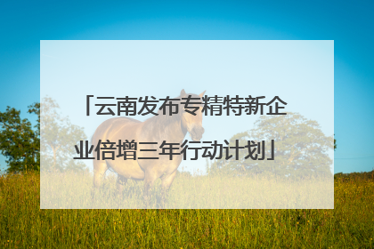 云南发布专精特新企业倍增三年行动计划