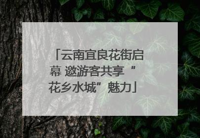 云南宜良花街启幕 邀游客共享“花乡水城”魅力