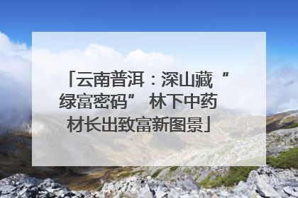 云南普洱：深山藏“绿富密码” 林下中药材长出致富新图景