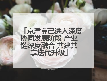 京津冀已进入深度协同发展阶段 产业链深度融合 共建共享迭代升级