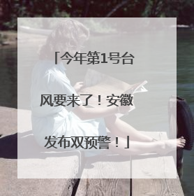 今年第1号台风要来了！安徽发布双预警！