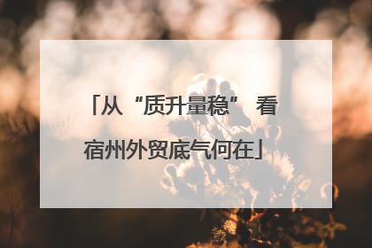 从“质升量稳” 看宿州外贸底气何在