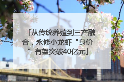 从传统养殖到三产融合，永修小龙虾“身价”有望突破40亿元
