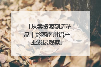 从卖资源到造精品｜黔西南州铝产业发展观察