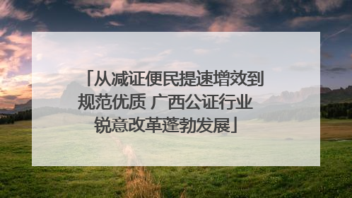 从减证便民提速增效到规范优质 广西公证行业锐意改革蓬勃发展