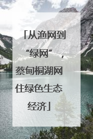 从渔网到“绿网”，蔡甸桐湖网住绿色生态经济