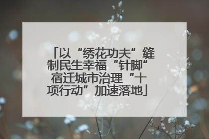 以“绣花功夫”缝制民生幸福“针脚” 宿迁城市治理“十项行动”加速落地