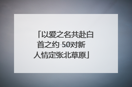 以爱之名共赴白首之约 50对新人情定张北草原