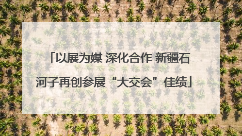 以展为媒 深化合作 新疆石河子再创参展“大交会”佳绩