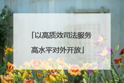 以高质效司法服务高水平对外开放