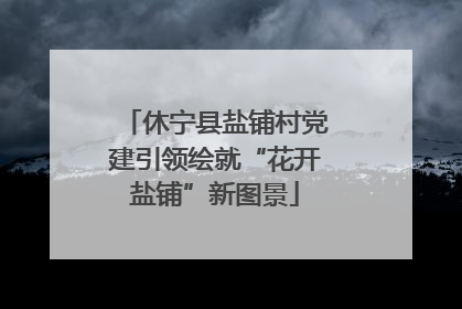 休宁县盐铺村党建引领绘就“花开盐铺”新图景