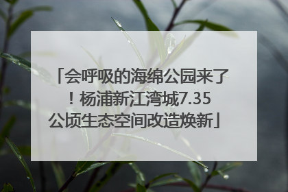 会呼吸的海绵公园来了！杨浦新江湾城7.35公顷生态空间改造焕新