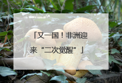 又一国！非洲迎来“二次觉醒”