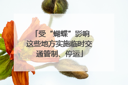 受“蝴蝶”影响 这些地方实施临时交通管制、停运