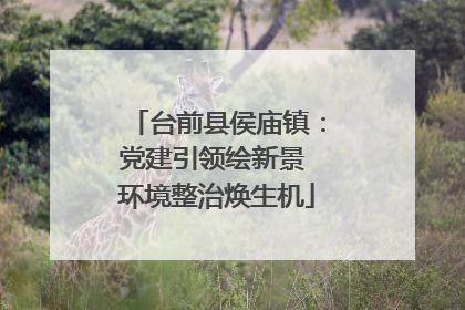 台前县侯庙镇：党建引领绘新景 环境整治焕生机