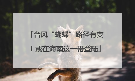 台风“蝴蝶”路径有变！或在海南这一带登陆