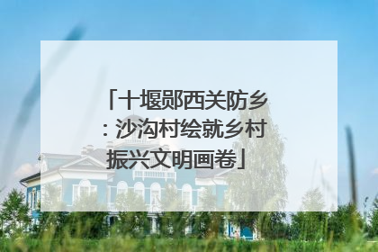 十堰郧西关防乡：沙沟村绘就乡村振兴文明画卷