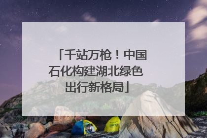 千站万枪！中国石化构建湖北绿色出行新格局