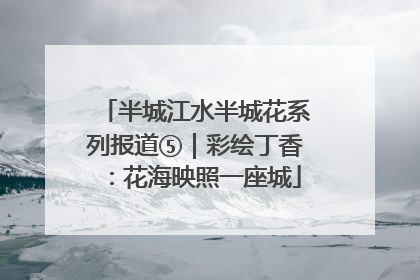 半城江水半城花系列报道⑤｜彩绘丁香：花海映照一座城