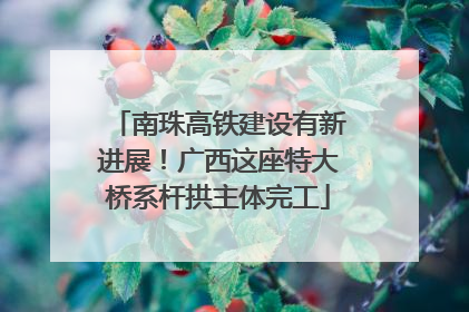 南珠高铁建设有新进展！广西这座特大桥系杆拱主体完工