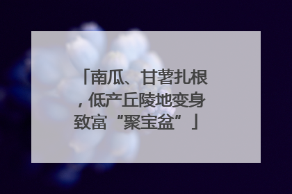 南瓜、甘薯扎根，低产丘陵地变身致富“聚宝盆”