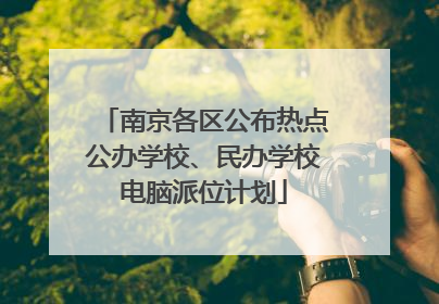南京各区公布热点公办学校、民办学校电脑派位计划