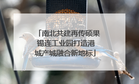 南北共建再传硕果 锡连工业园打造港城产城融合新地标