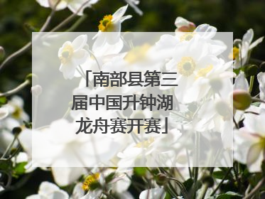 南部县第三届中国升钟湖龙舟赛开赛