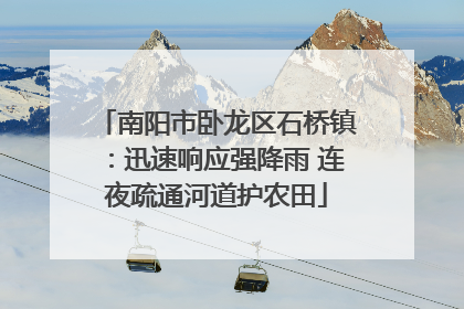 南阳市卧龙区石桥镇：迅速响应强降雨 连夜疏通河道护农田