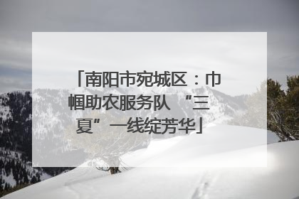 南阳市宛城区：巾帼助农服务队 “三夏”一线绽芳华