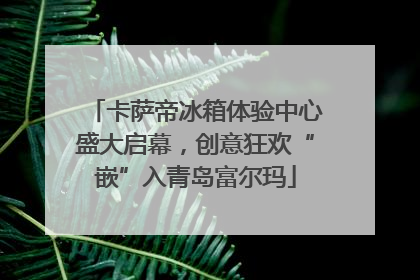 卡萨帝冰箱体验中心盛大启幕，创意狂欢“嵌”入青岛富尔玛