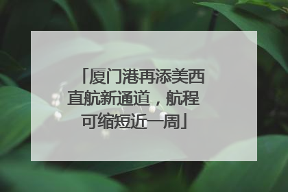 厦门港再添美西直航新通道，航程可缩短近一周