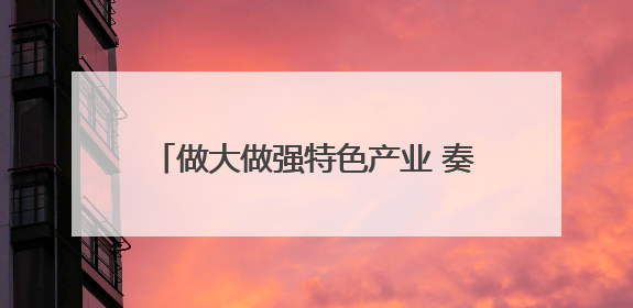 做大做强特色产业 奏响乡村振兴“富民曲”