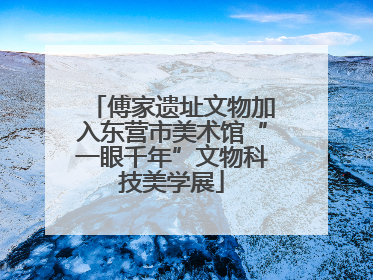 傅家遗址文物加入东营市美术馆“一眼千年”文物科技美学展