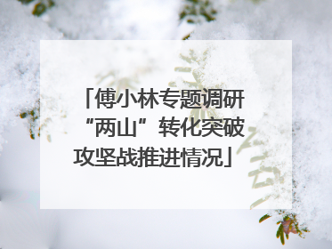 傅小林专题调研“两山”转化突破攻坚战推进情况