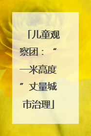 儿童观察团：“一米高度”丈量城市治理
