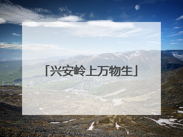 兴安岭上万物生