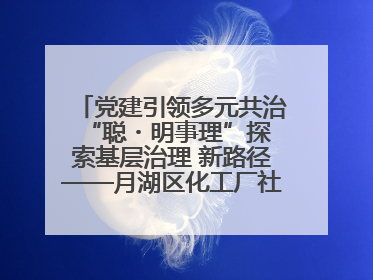 党建引领多元共治 “聪・明事理”探索基层治理 新路径——月湖区化工厂社区新实践