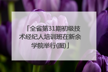 全省第31期初级技术经纪人培训班在新余学院举行(图)