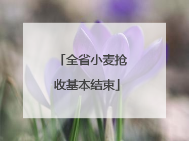 全省小麦抢收基本结束