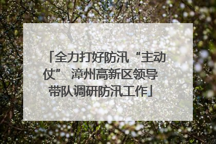 全力打好防汛“主动仗” 漳州高新区领导带队调研防汛工作