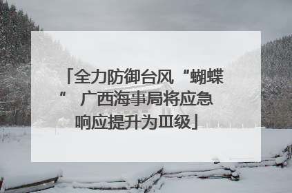 全力防御台风“蝴蝶” 广西海事局将应急响应提升为Ⅲ级
