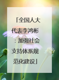 全国人大代表李鸿彬：加强社会支持体系规范化建设