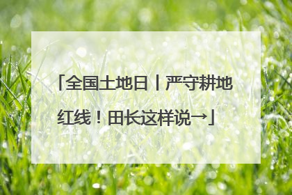 全国土地日丨严守耕地红线！田长这样说→