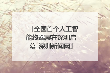 全国首个人工智能终端展在深圳启幕_深圳新闻网
