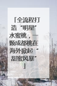 全流程打造“明星”水蜜桃，一颗成都桃在海外掀起“甜蜜风暴”
