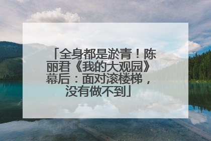 全身都是淤青！陈丽君《我的大观园》幕后：面对滚楼梯，没有做不到