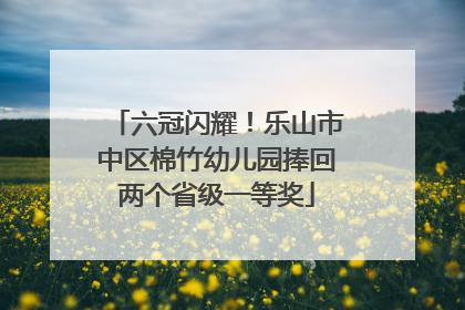 六冠闪耀！乐山市中区棉竹幼儿园捧回两个省级一等奖