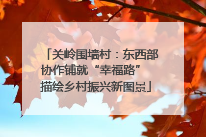 关岭围墙村：东西部协作铺就“幸福路” 描绘乡村振兴新图景