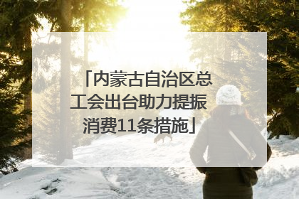 内蒙古自治区总工会出台助力提振消费11条措施